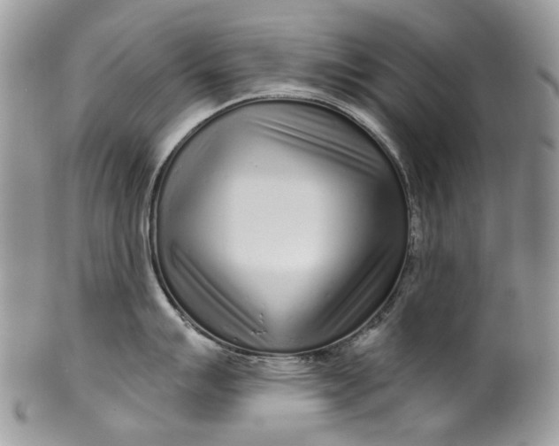 X0000099961007200806131506