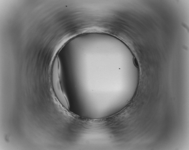 X0000099961008200806131506