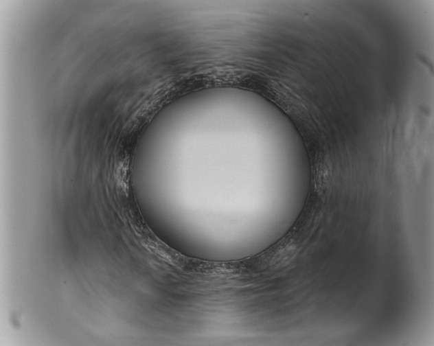 X0000099961010200806131505