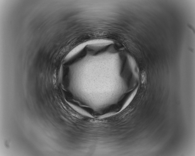 X0000099961011200806131505