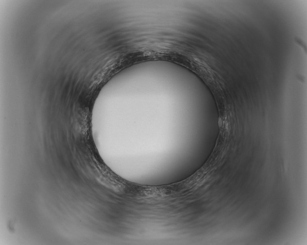 X0000099961012200806131505