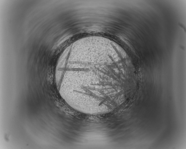 X0000099961015200806131505