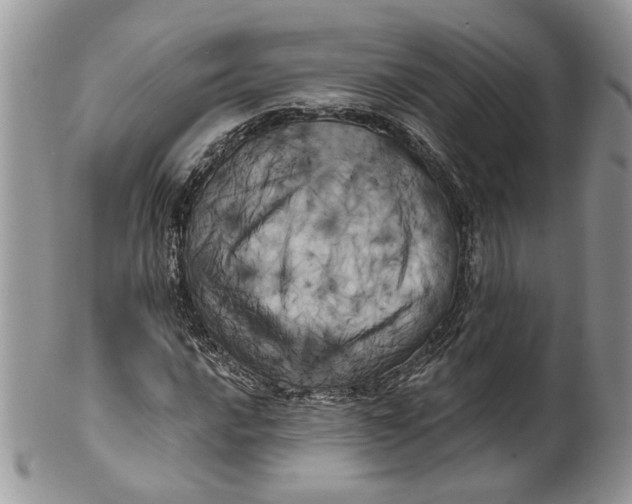 X0000099961016200806131505