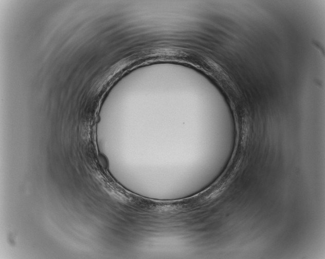 X0000099961017200806131505