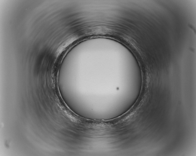 X0000099961018200806131505