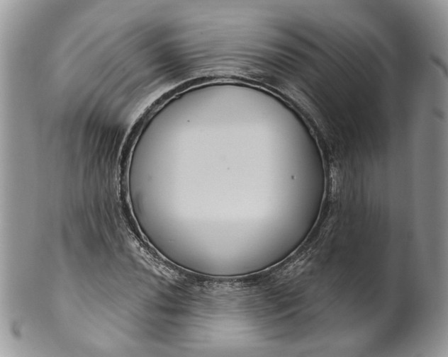 X0000099961020200806131505