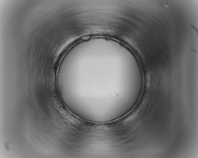 X0000099961021200806131505