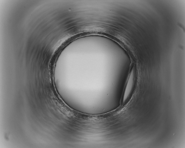 X0000099961022200806131505