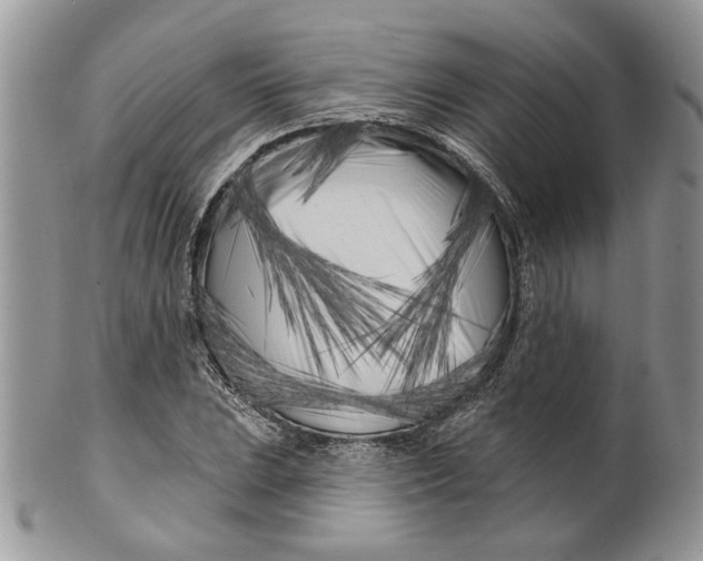 X0000099961023200806131505