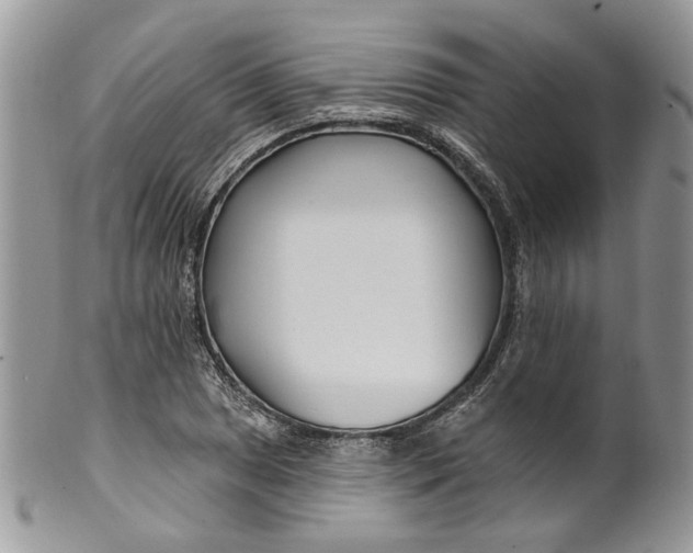 X0000099961025200806131505