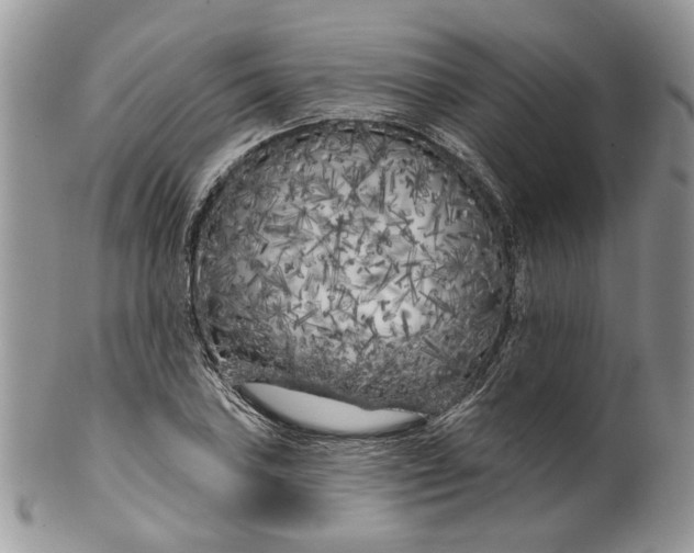 X0000099961027200806131505