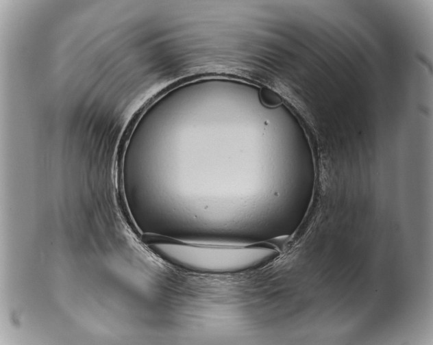 X0000099961028200806131505