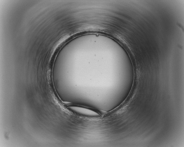 X0000099961029200806131505