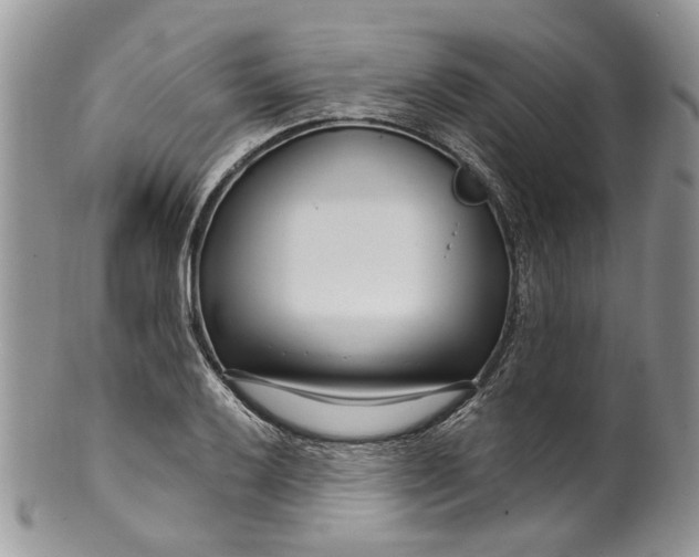 X0000099961032200806131505