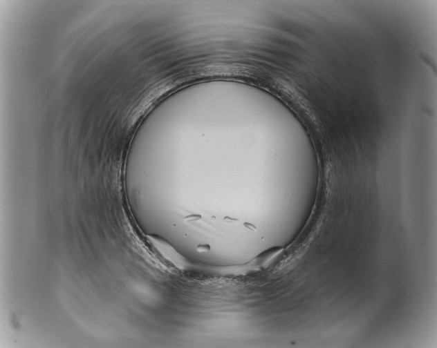 X0000099961033200806131505