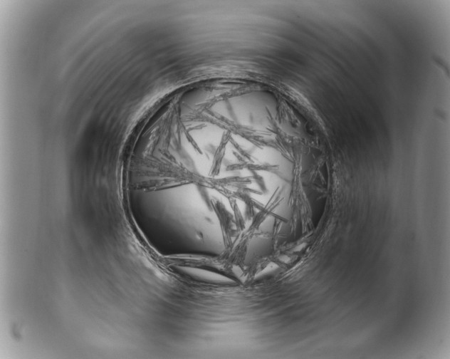 X0000099961035200806131505