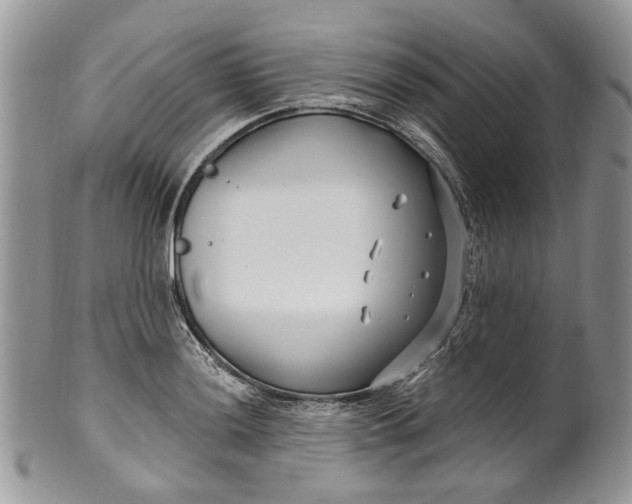 X0000099961036200806131505