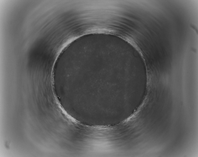 X0000099961037200806131505