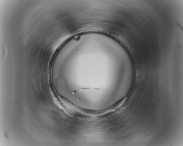 X0000099961038200806131505