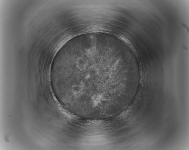 X0000099961039200806131505