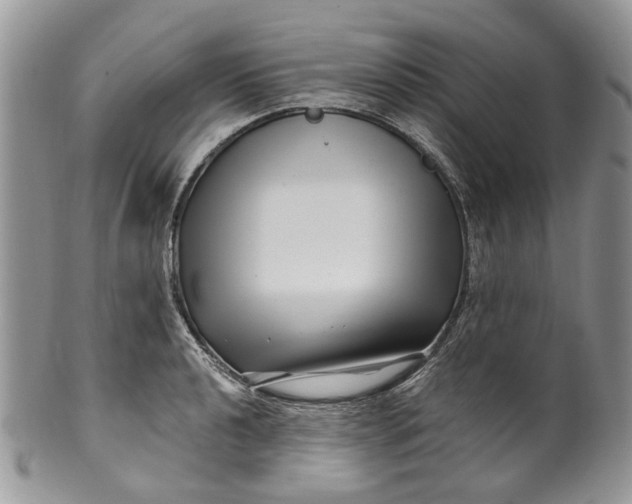 X0000099961040200806131505