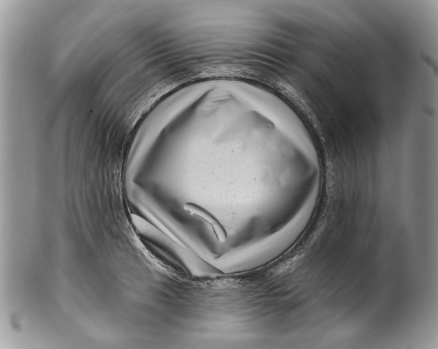 X0000099961041200806131505