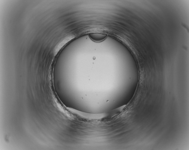 X0000099961042200806131505