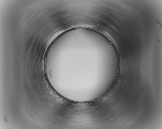 X0000099961044200806131505