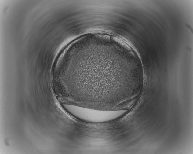 X0000099961045200806131505