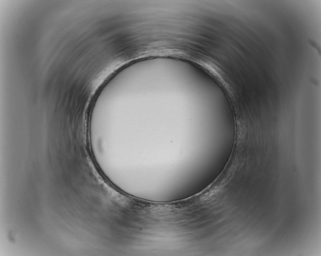 X0000099961046200806131505