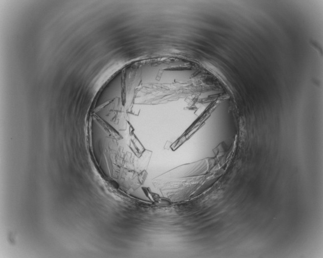 X0000099961047200806131505