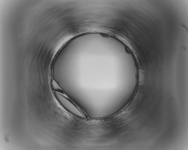 X0000099961048200806131505