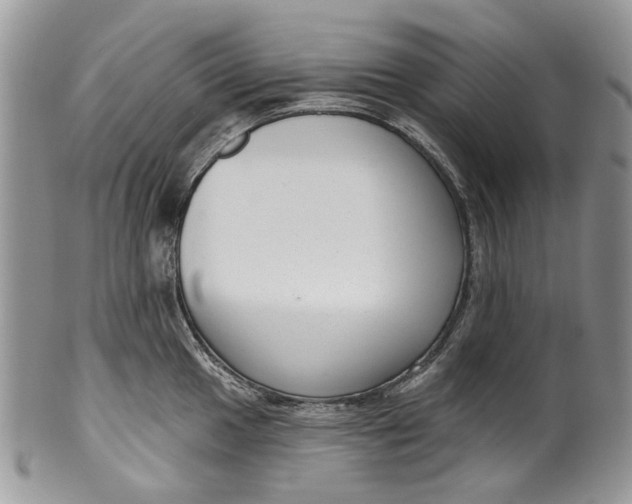 X0000099961049200806131505