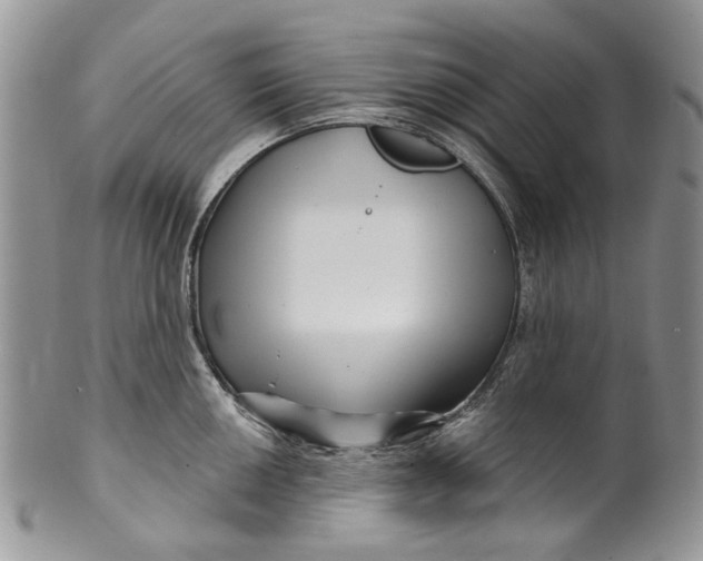 X0000099961050200806131506