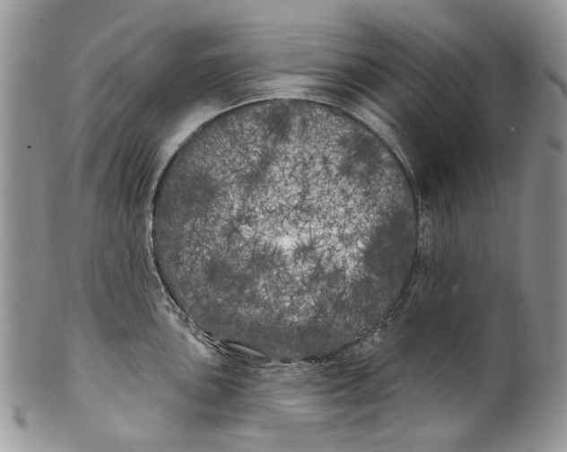 X0000099961051200806131506