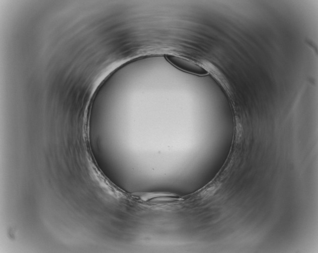 X0000099961052200806131506