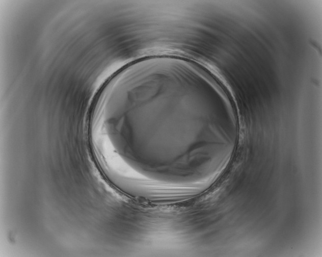 X0000099961053200806131506