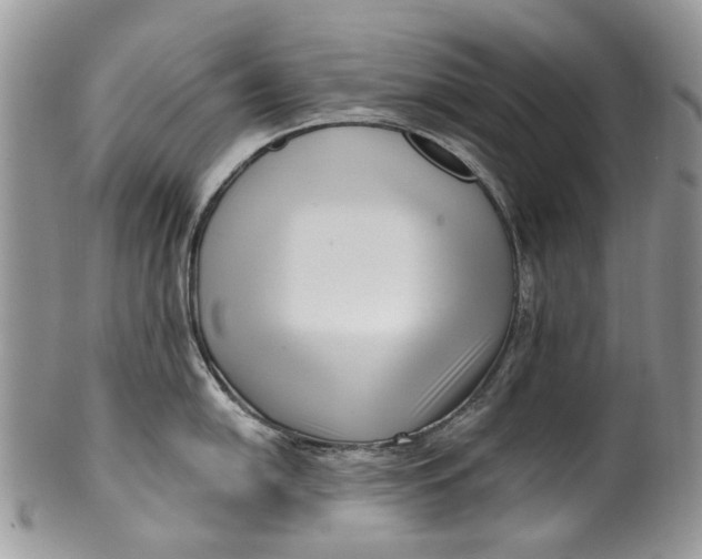 X0000099961054200806131506