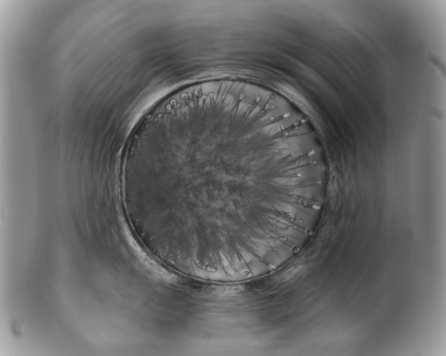 X0000099961055200806131506