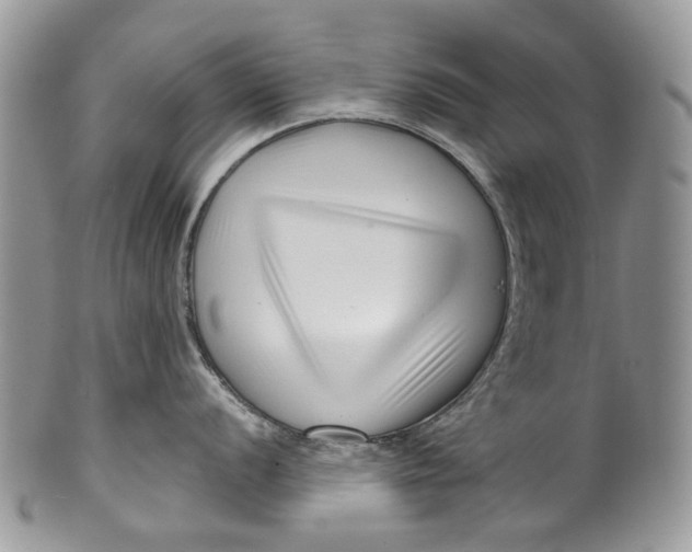 X0000099961056200806131506