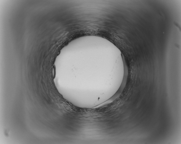 X0000099961057200806131505