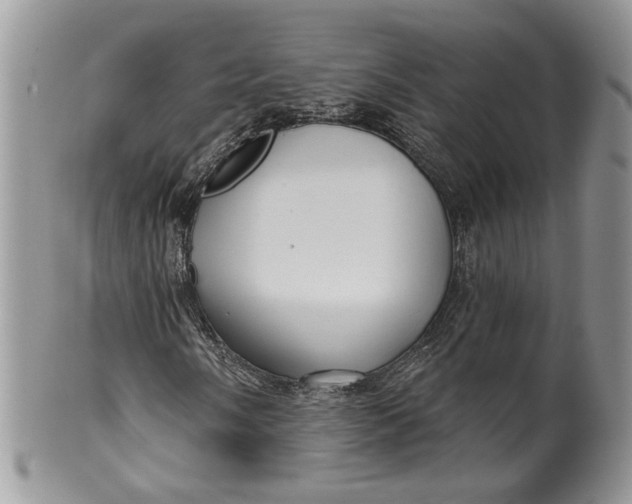 X0000099961058200806131505