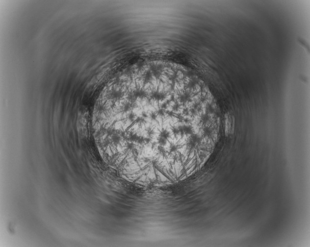 X0000099961059200806131505