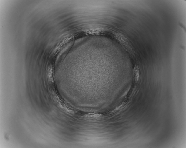 X0000099961060200806131505