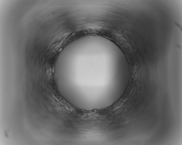 X0000099961061200806131505