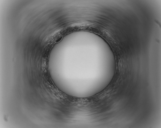 X0000099961062200806131505