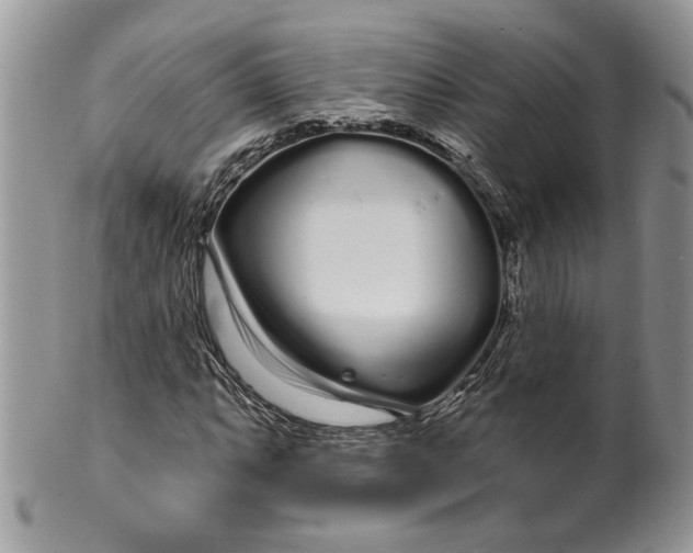 X0000099961063200806131505