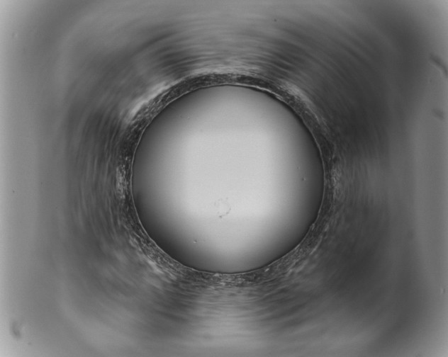 X0000099961064200806131505