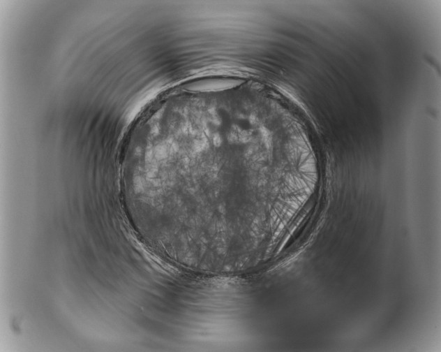 X0000099961067200806131505