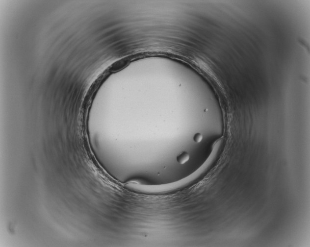 X0000099961068200806131505